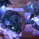 Screenshot: Wowtcglootcards